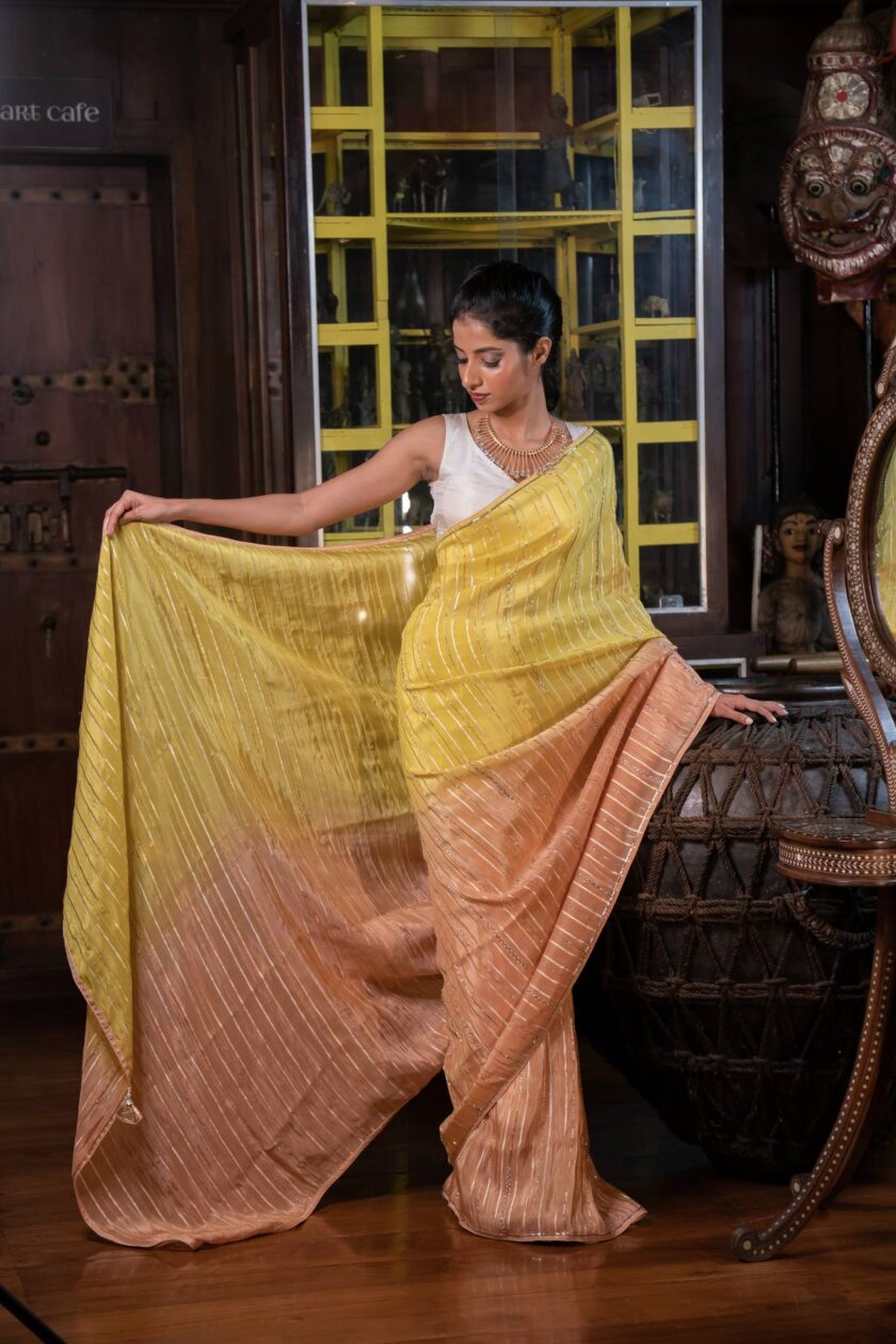 Organza silk crepe saree with intricate beadwork